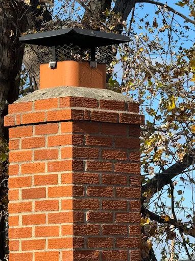 Animal Removal — recent job